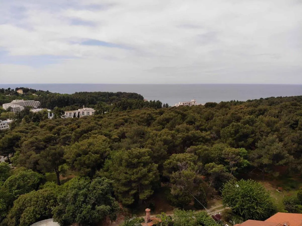 Apartments In Porec/Istrien 37216 Porec